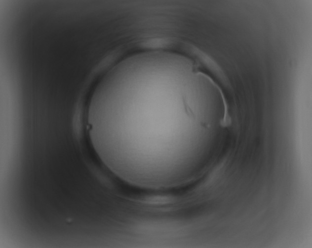 X0000100780586200807031233