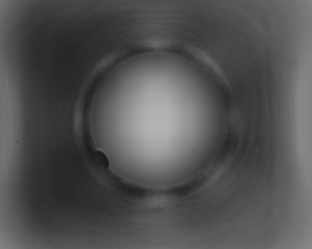 X0000100780587200807031233