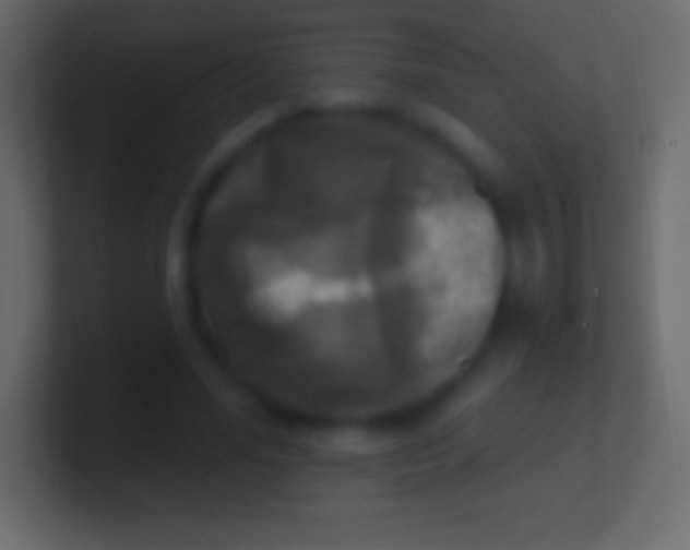 X0000100780588200807031233