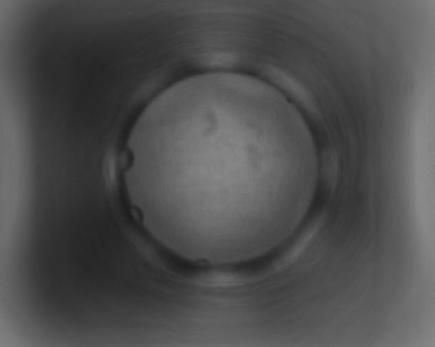 X0000100780589200807031233