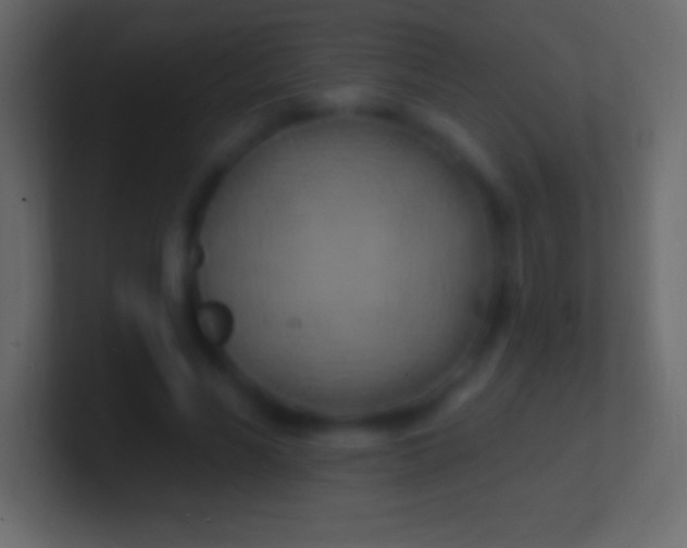 X0000100780590200807031233