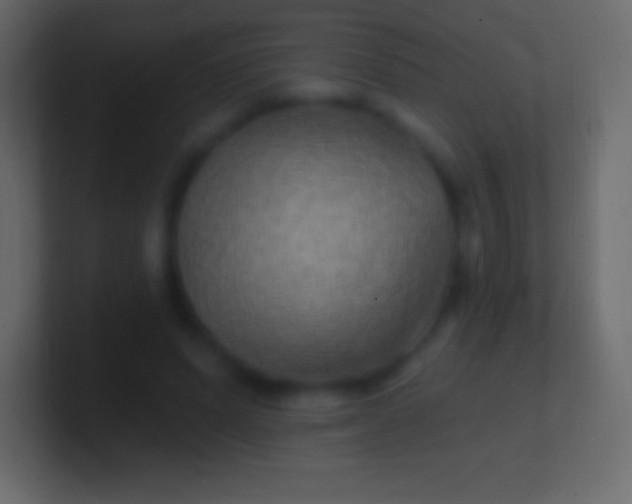 X0000100780591200807031233