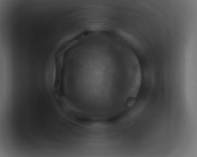 X0000100780592200807031233