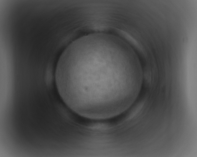 X0000100780593200807031233