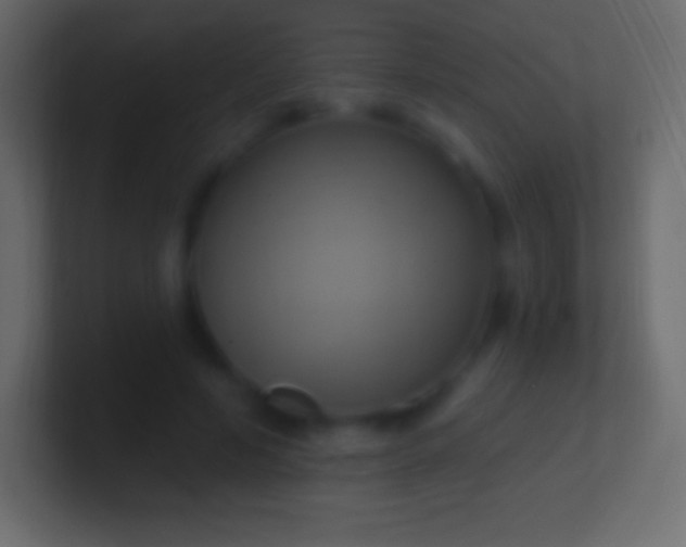 X0000100780594200807031233