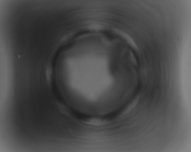 X0000100780596200807031233