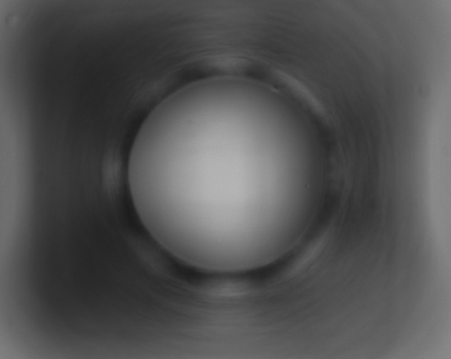 X0000100780597200807031233