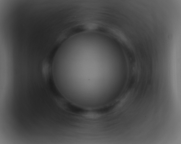 X0000100780598200807031233