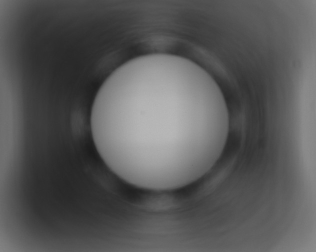 X0000100780599200807031233