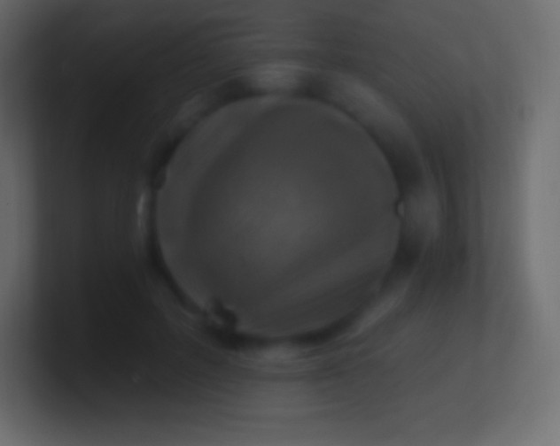 X0000100780600200807031233