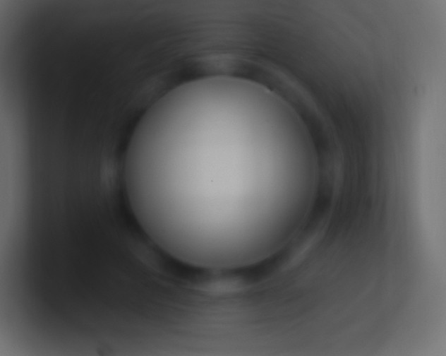 X0000100780601200807031233