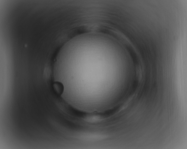 X0000100780602200807031233