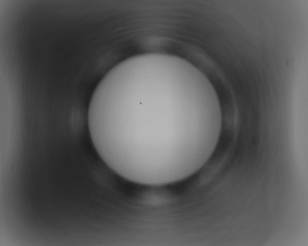 X0000100780603200807031233