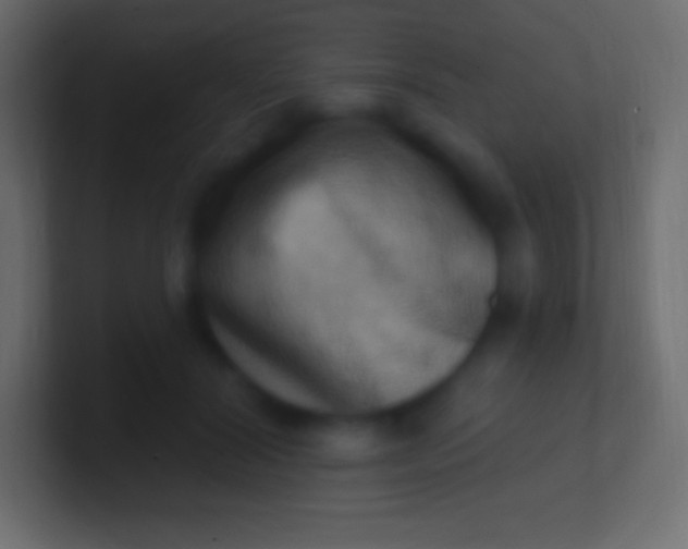 X0000100780604200807031233