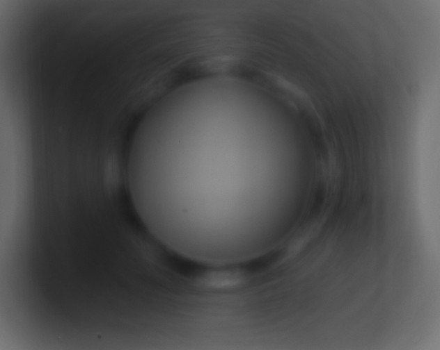 X0000100780606200807031233