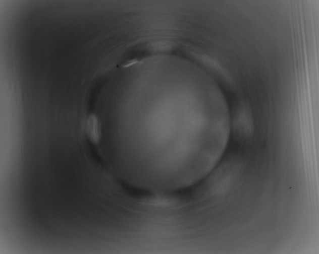 X0000100780608200807031233