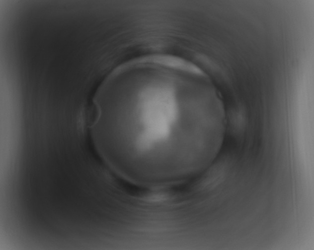 X0000100780612200807031233