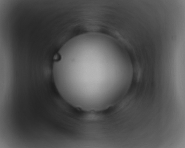 X0000100780614200807031233