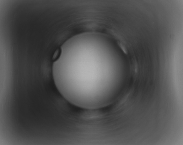 X0000100780615200807031233