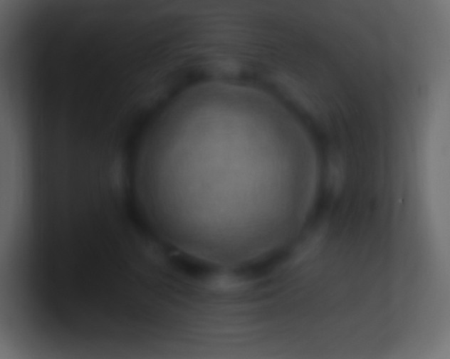 X0000100780616200807031233