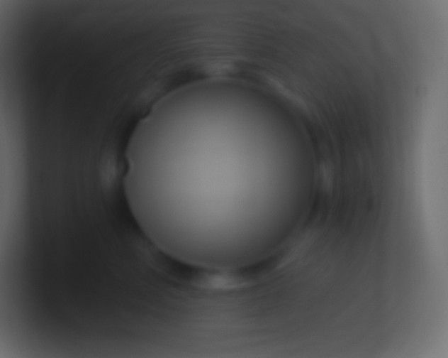 X0000100780618200807031233