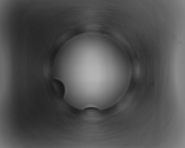 X0000100780619200807031233