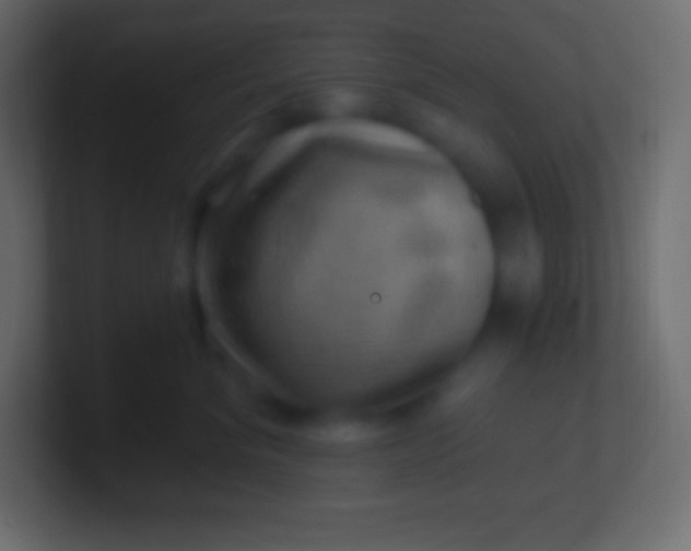 X0000100780620200807031233