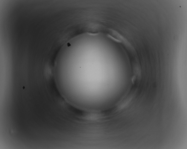 X0000100780621200807031233