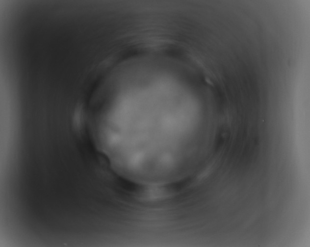 X0000100780623200807031233