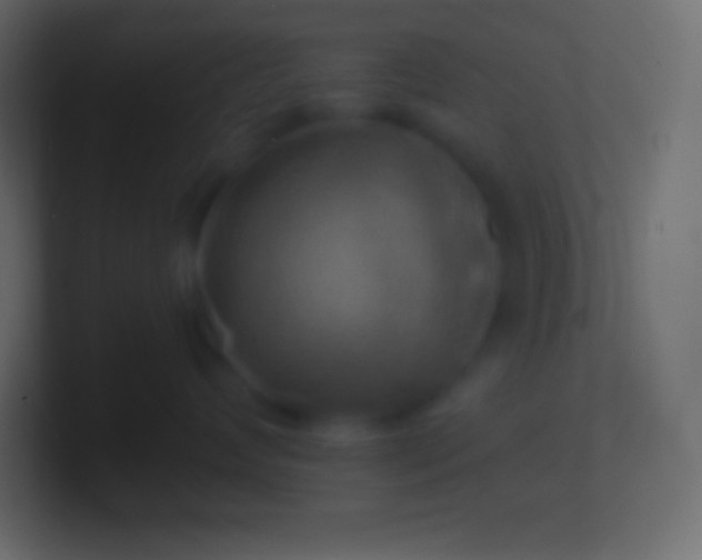 X0000100780624200807031233