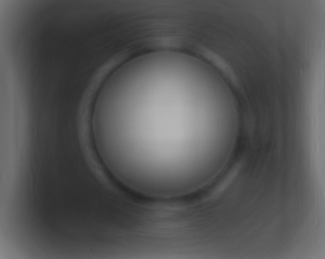 X0000100780625200807031232