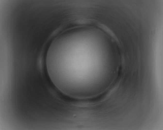 X0000100780626200807031232