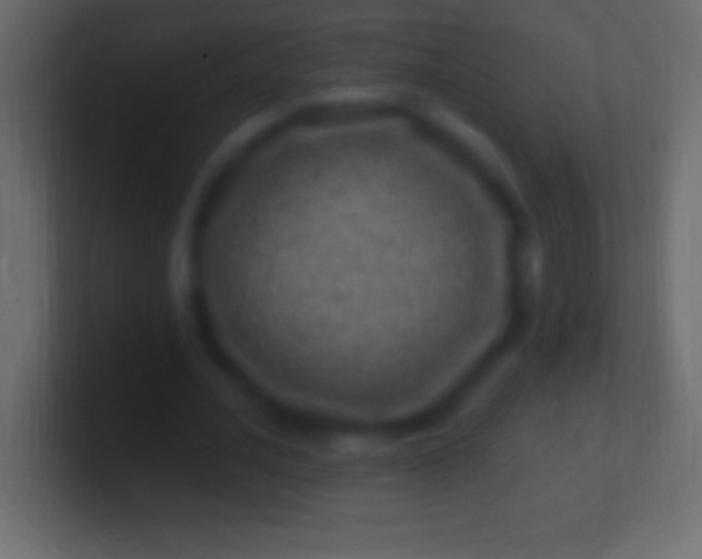 X0000100780628200807031232