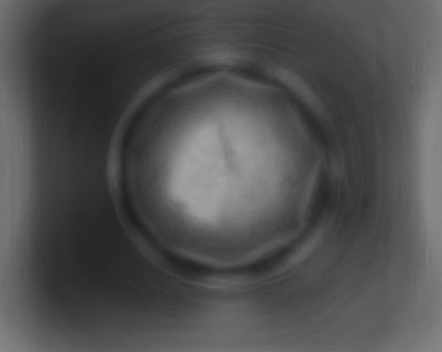 X0000100780630200807031232