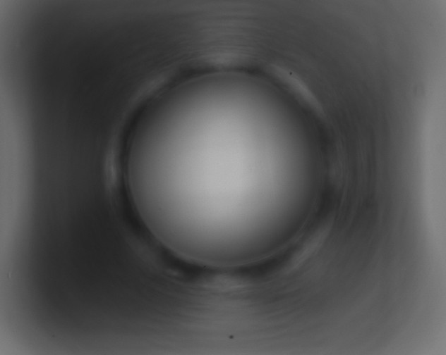 X0000100780635200807031232