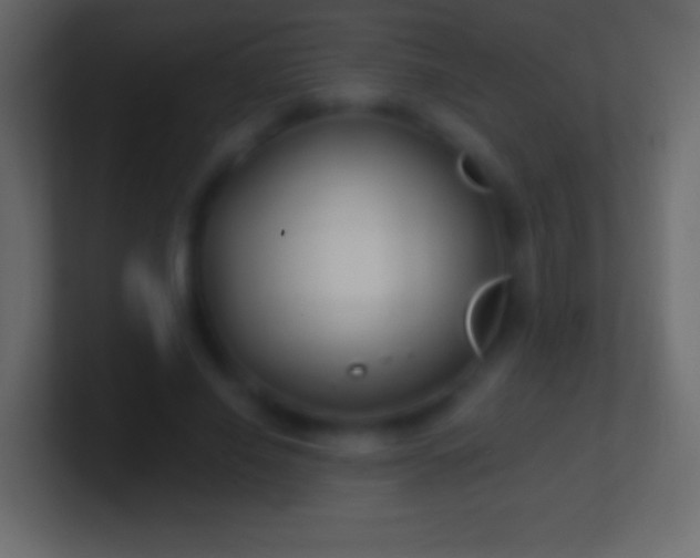 X0000100780638200807031232