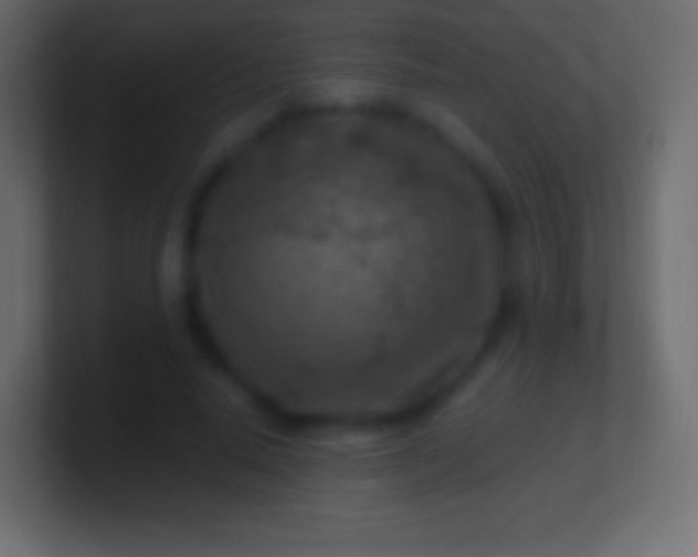 X0000100780640200807031232