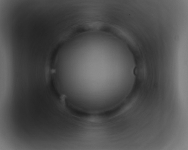 X0000100780641200807031232