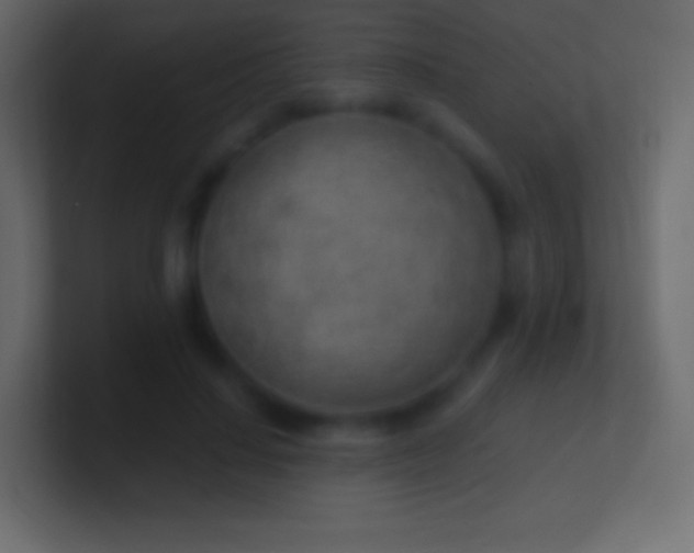 X0000100780644200807031232