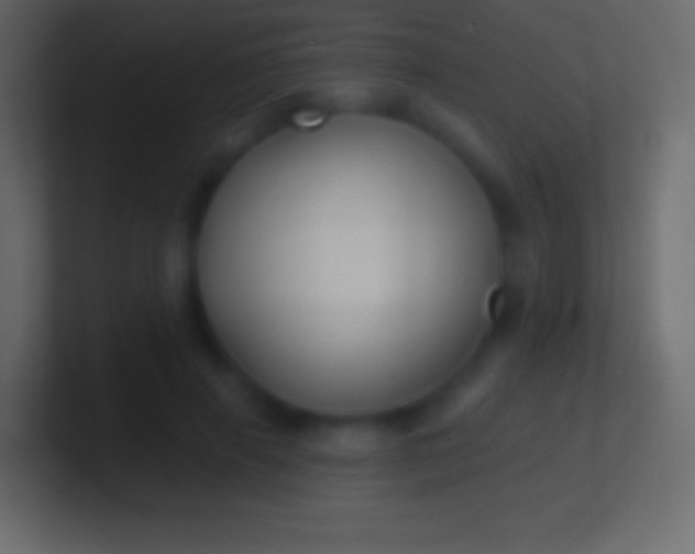 X0000100780645200807031232