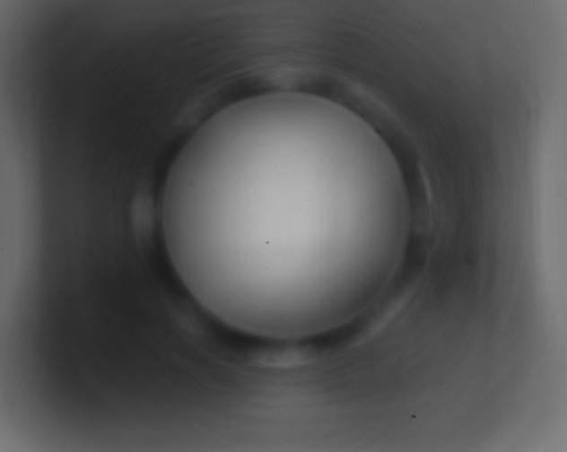 X0000100780646200807031232