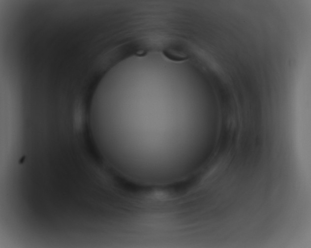 X0000100780647200807031232