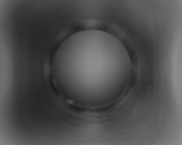 X0000100780648200807031232