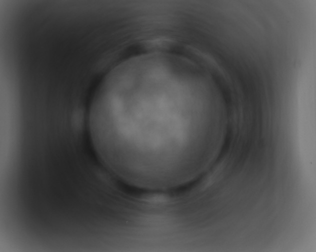 X0000100780649200807031232