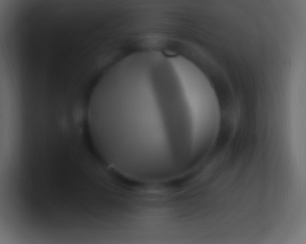 X0000100780652200807031232