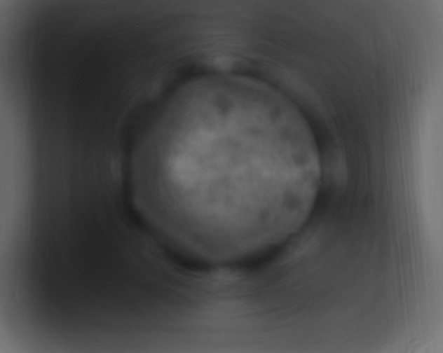 X0000100780656200807031232