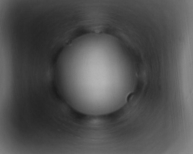 X0000100780658200807031232