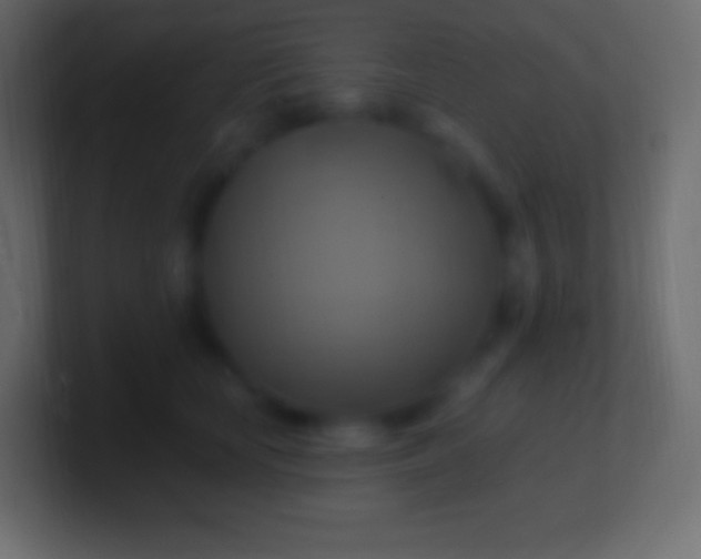 X0000100780659200807031232