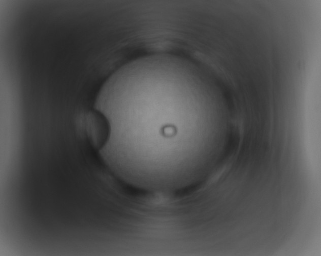 X0000100780660200807031232