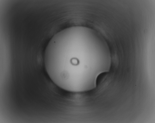 X0000100780662200807031232